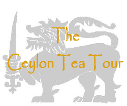 Ceylon Tea Tour