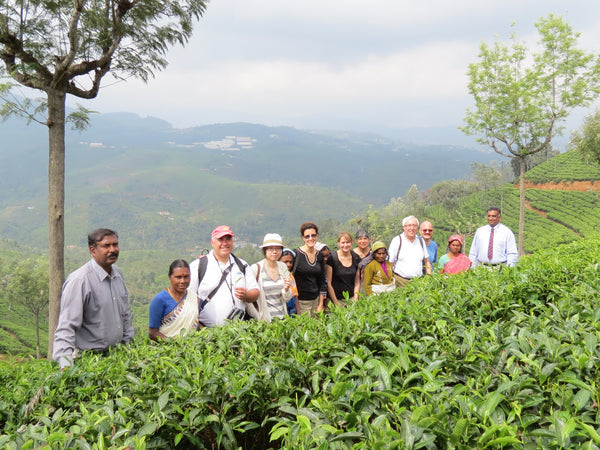 Tea Tour of India 2012