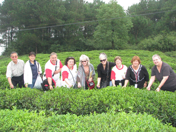 China Tea Tour 2007