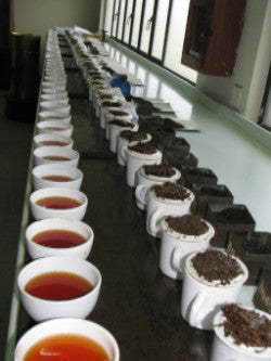 Ceylon Tea Tour