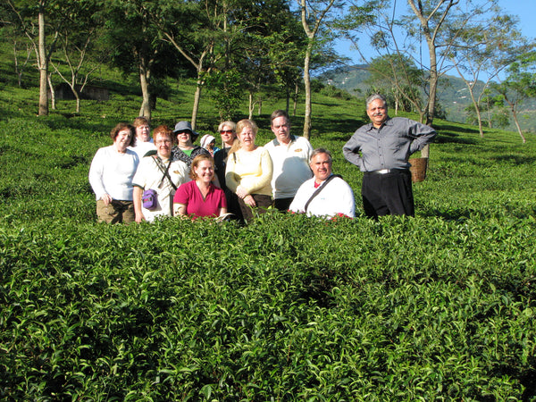 Tea Tour of India 2008