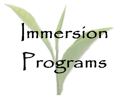Immersion Programs