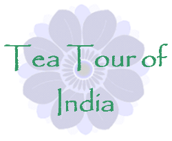 Tea Tour of India